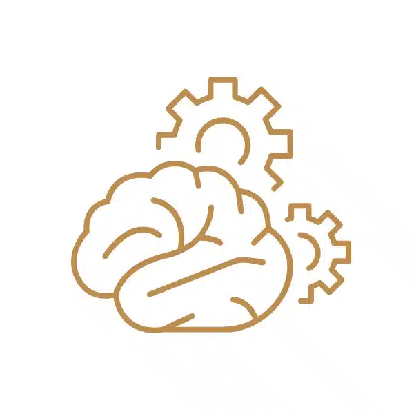 An icon showing a brain with gears.